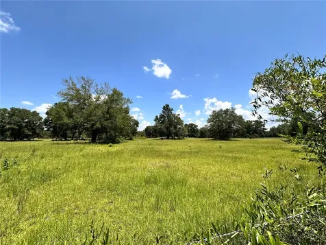 265 SW Skyline Loop Fort White FL 32038