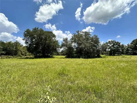 265 SW Skyline Loop Fort White FL 32038