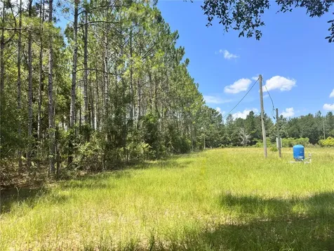 265 SW Skyline Loop Fort White FL 32038