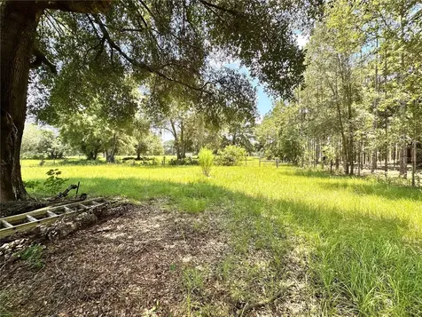265 SW Skyline Loop Fort White FL 32038