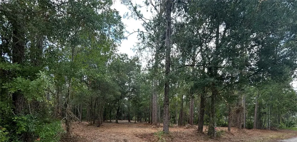 Westpoint Drive Wesley Chapel FL 33544
