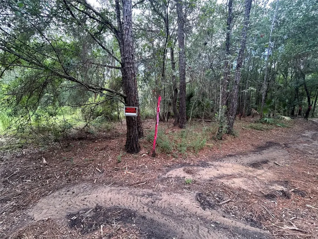 Westpoint Drive Wesley Chapel FL 33544