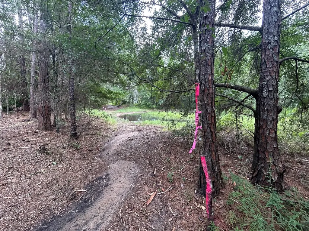 Westpoint Drive Wesley Chapel FL 33544