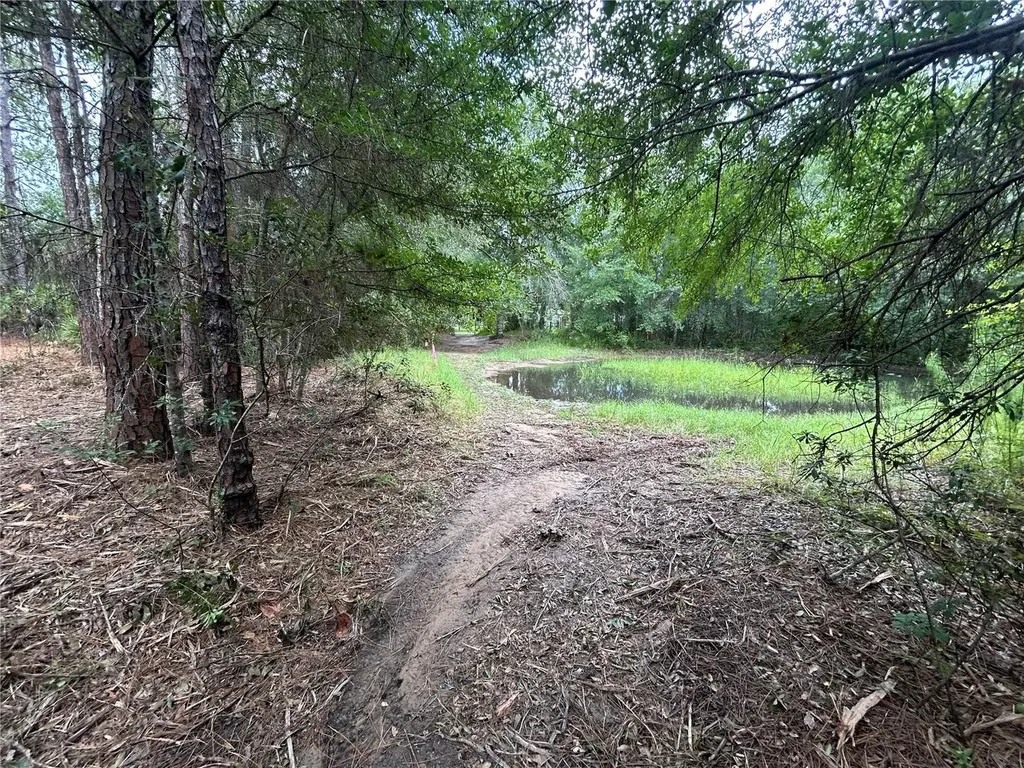 Westpoint Drive Wesley Chapel FL 33544