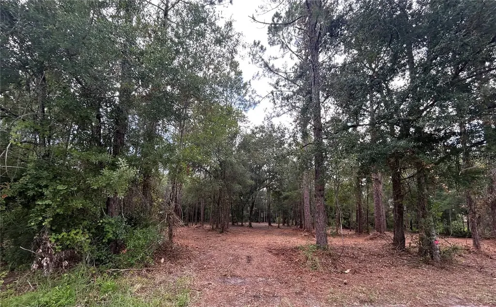 Westpoint Drive Wesley Chapel FL 33544