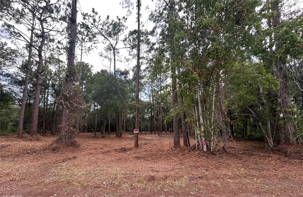 Westpoint Drive Wesley Chapel FL 33544