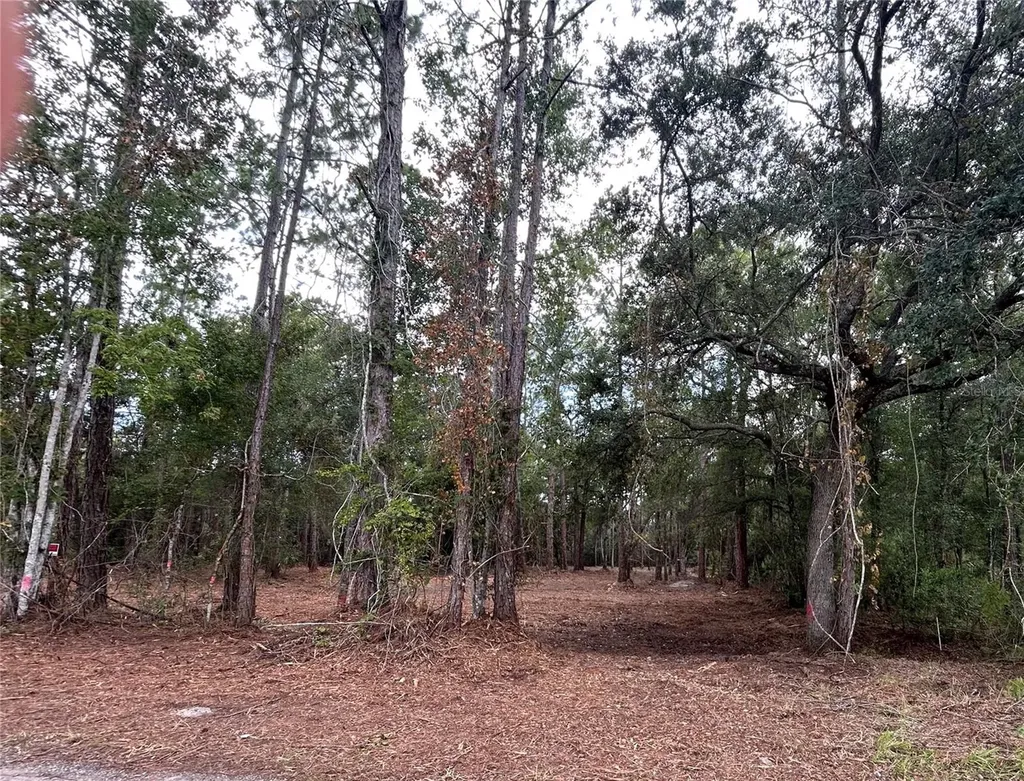 Westpoint Drive Wesley Chapel FL 33544