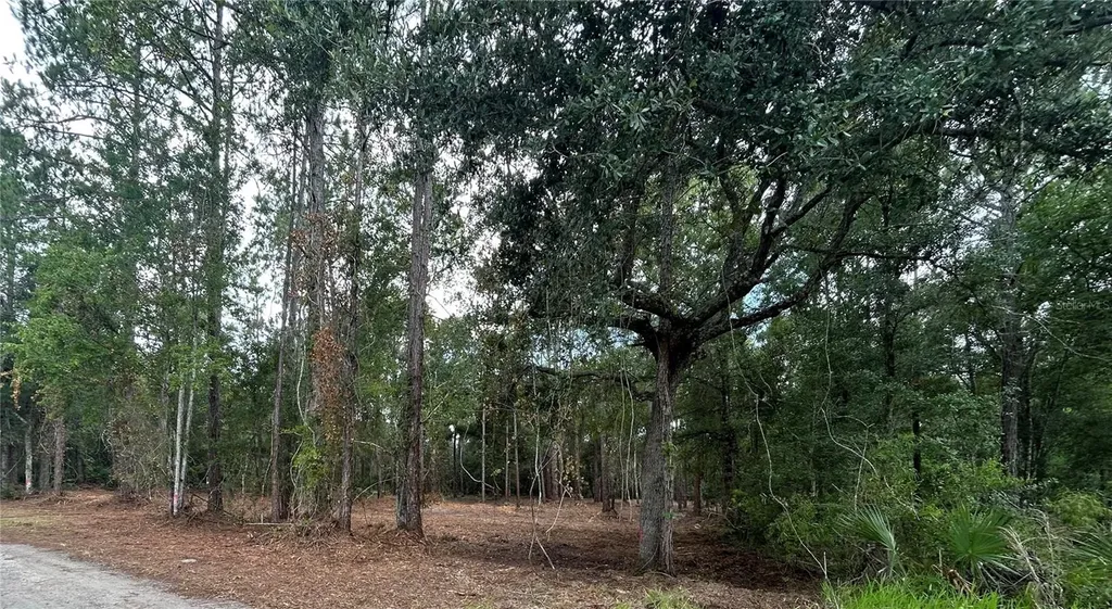 Westpoint Drive Wesley Chapel FL 33544