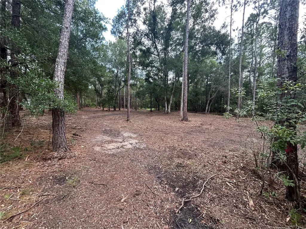 Westpoint Drive Wesley Chapel FL 33544