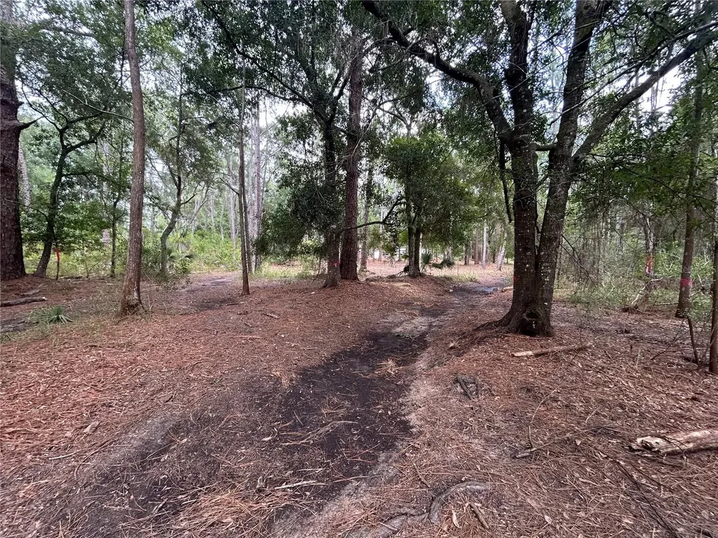 Westpoint Drive Wesley Chapel FL 33544