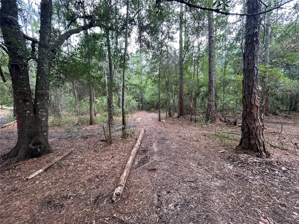 Westpoint Drive Wesley Chapel FL 33544