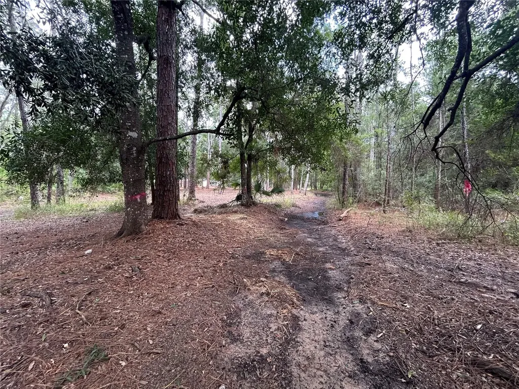 Westpoint Drive Wesley Chapel FL 33544