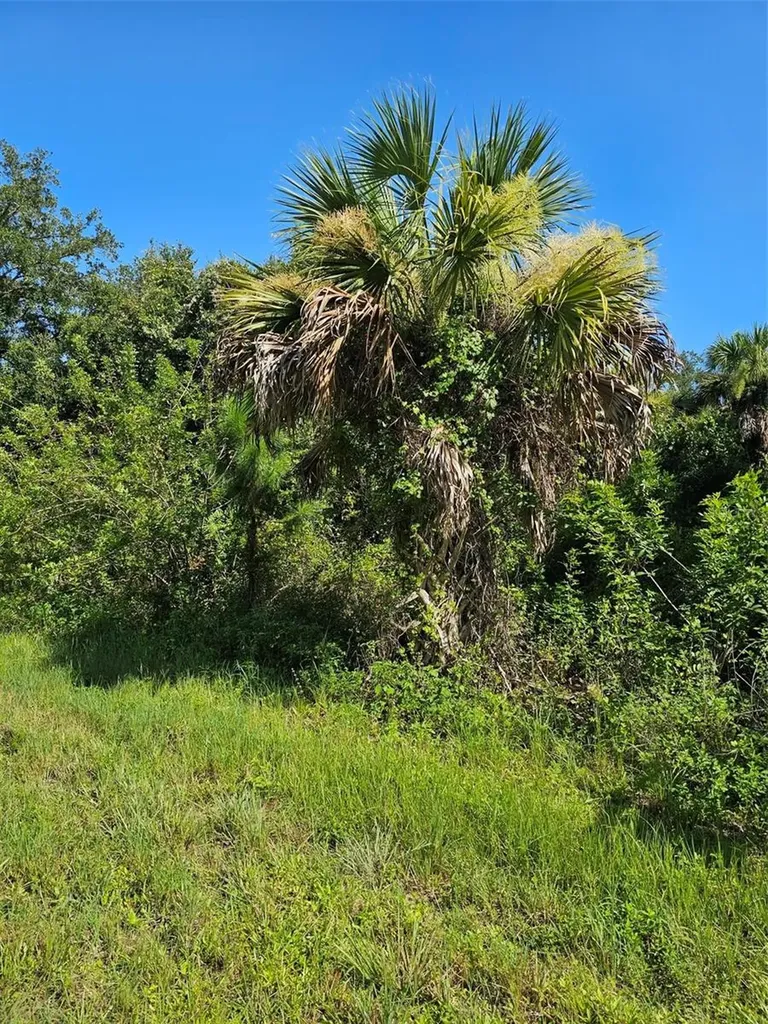 18137 Sinatra Avenue Port Charlotte FL 33954