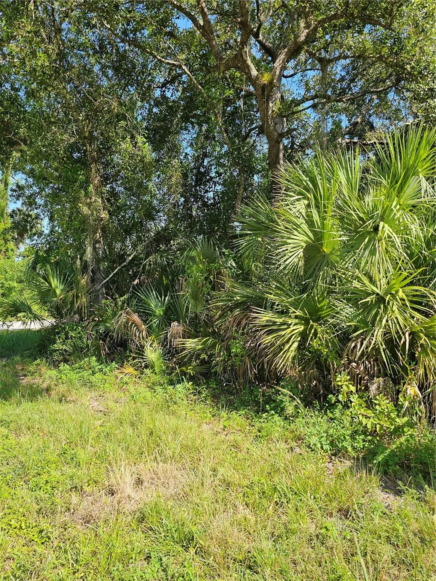 18137 Sinatra Avenue Port Charlotte FL 33954