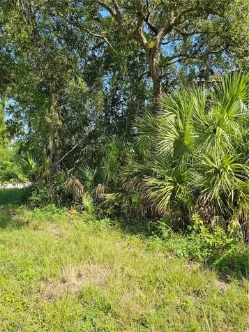 18137 Sinatra Avenue Port Charlotte FL 33954