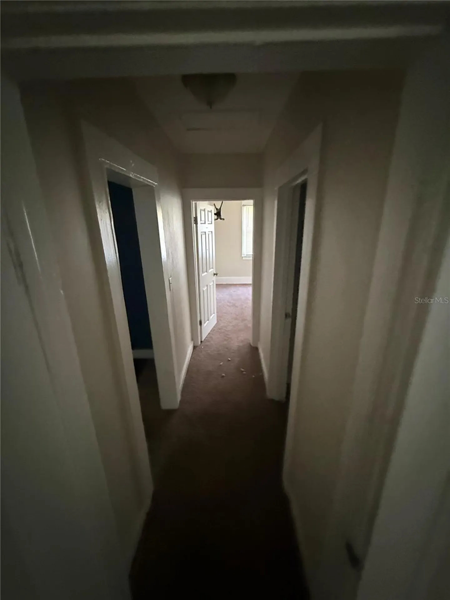 5905 Briley Avenue Jacksonville FL 32208