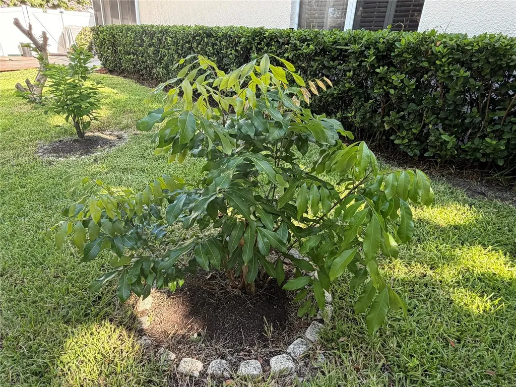 13006 Sunkiss Loop Windermere FL 34786