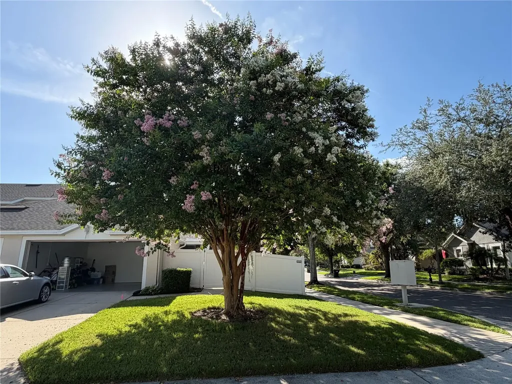 13006 Sunkiss Loop Windermere FL 34786