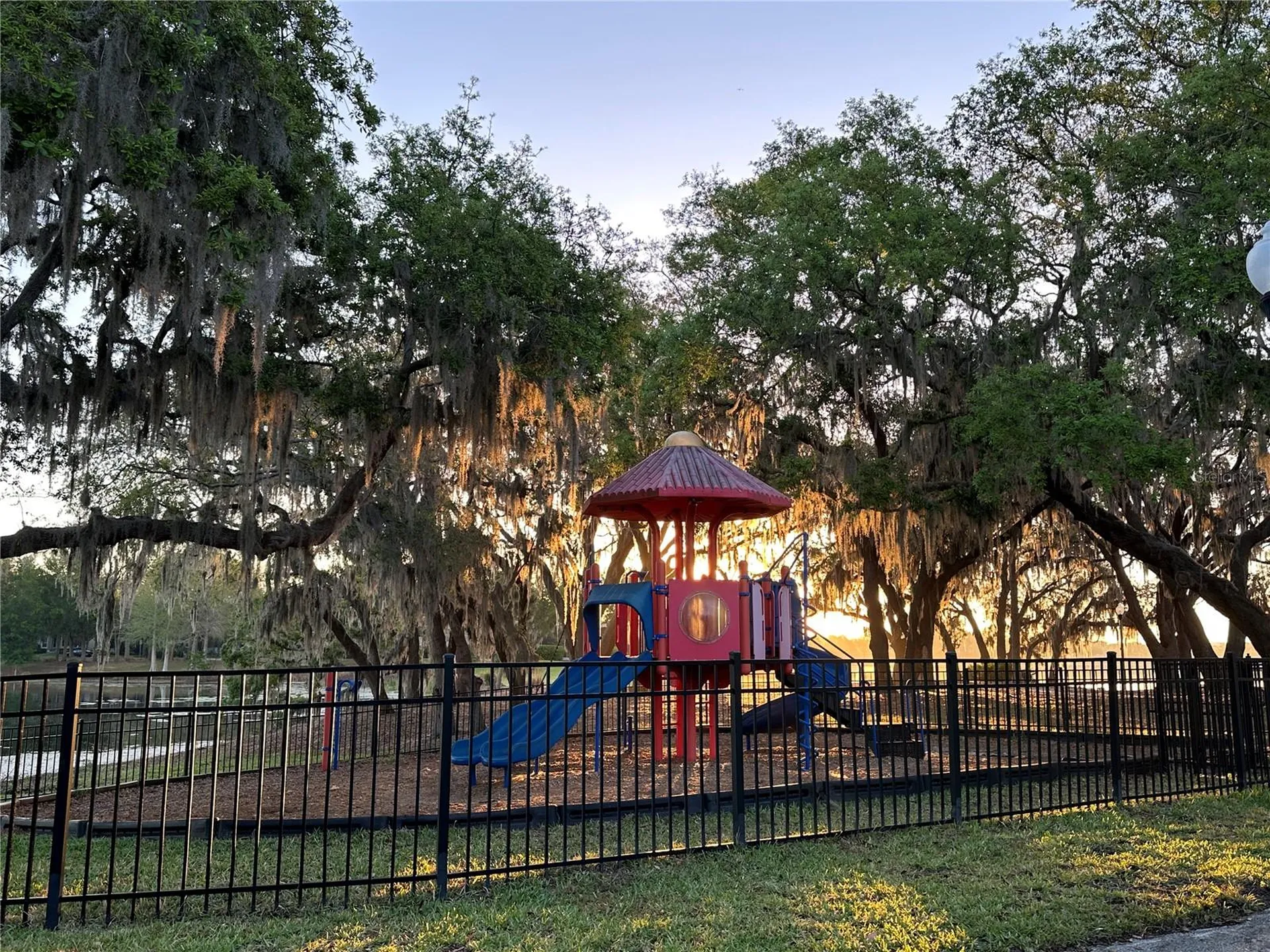 13006 Sunkiss Loop Windermere FL 34786