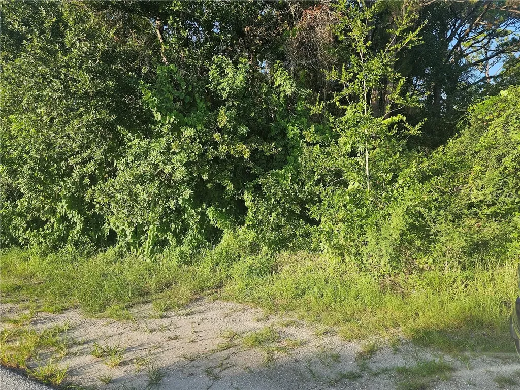 205 Serenade Drive Lake Placid FL 33852