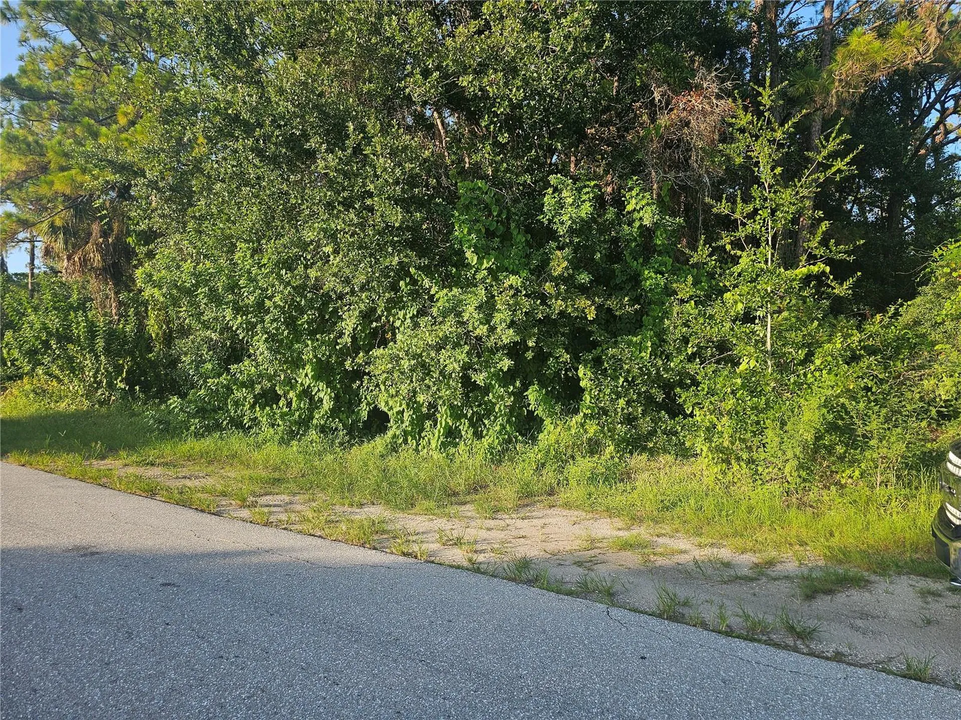 205 Serenade Drive Lake Placid FL 33852