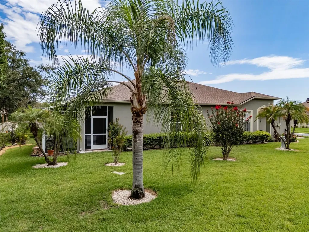 1237 Ambridge Drive Wesley Chapel FL 33543