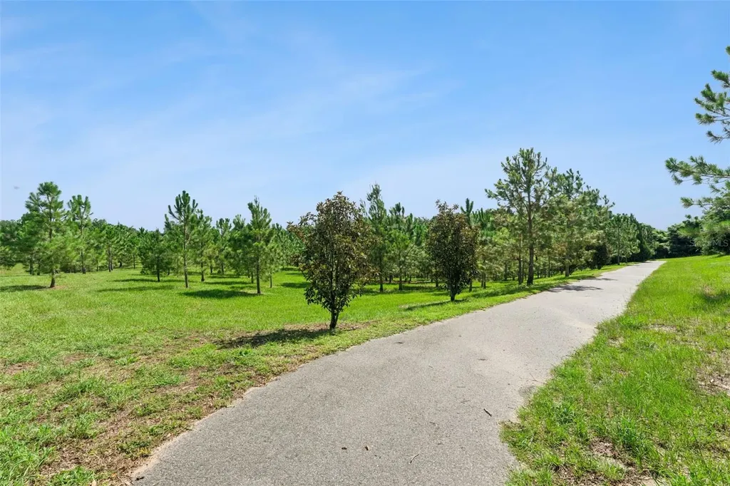 2766 Bobcat Chase Boulevard Winter Garden FL 34787
