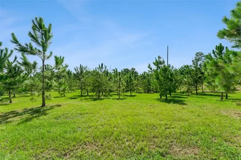 2766 Bobcat Chase Boulevard Winter Garden FL 34787