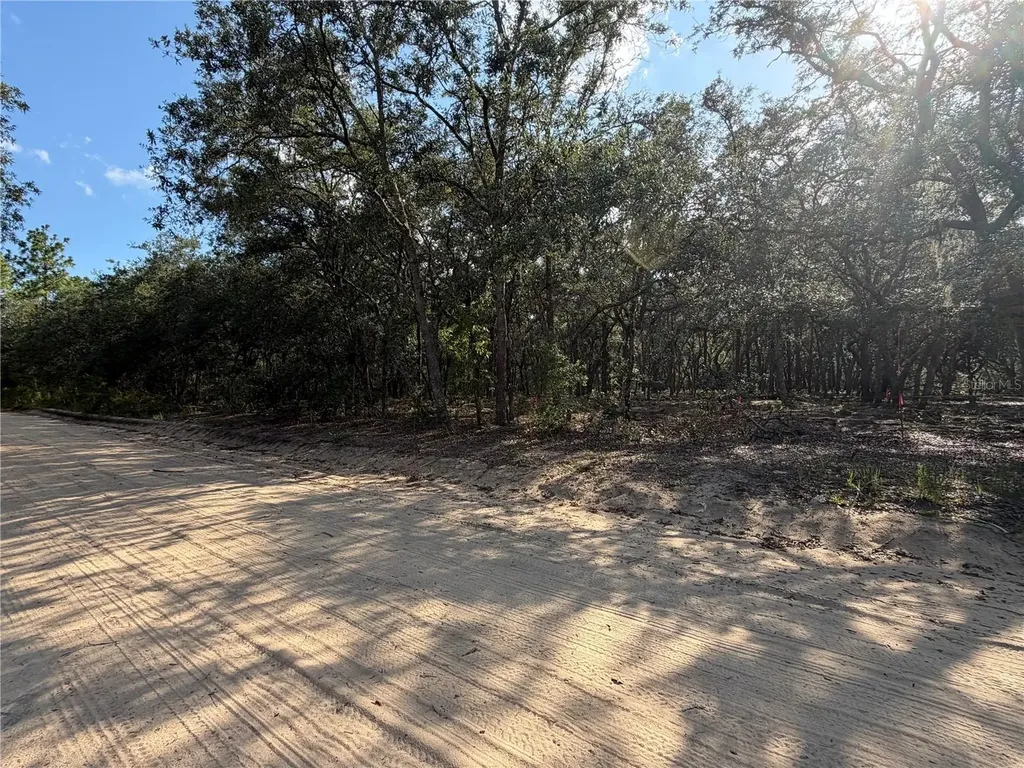 103 SW 53rd Avenue Interlachen FL 32148