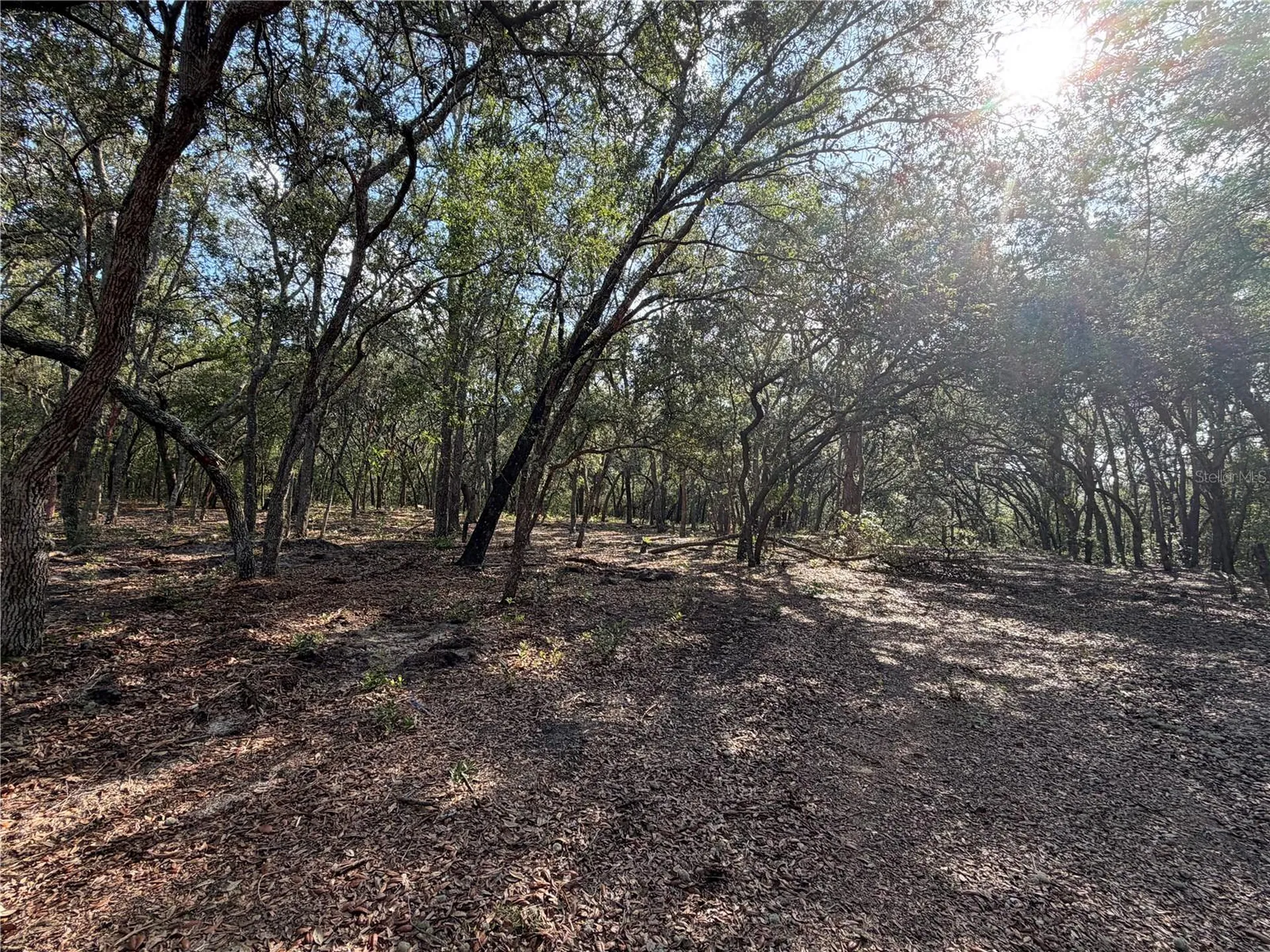 103 SW 53rd Avenue Interlachen FL 32148
