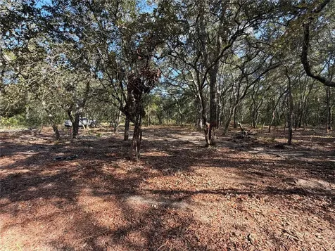 103 SW 53rd Avenue Interlachen FL 32148