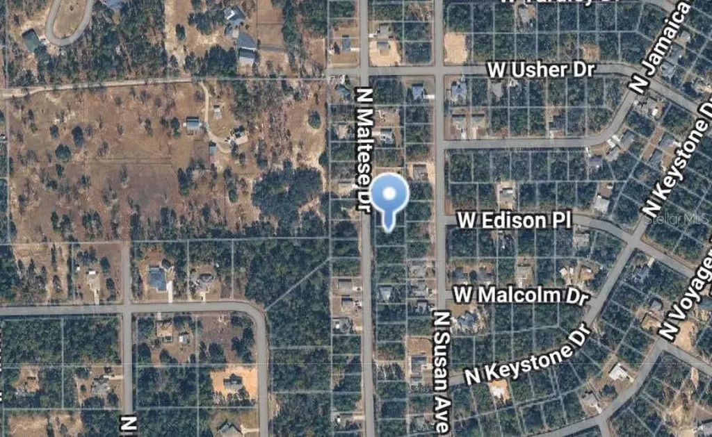 7745 N Maltese Drive Citrus Springs FL 34433