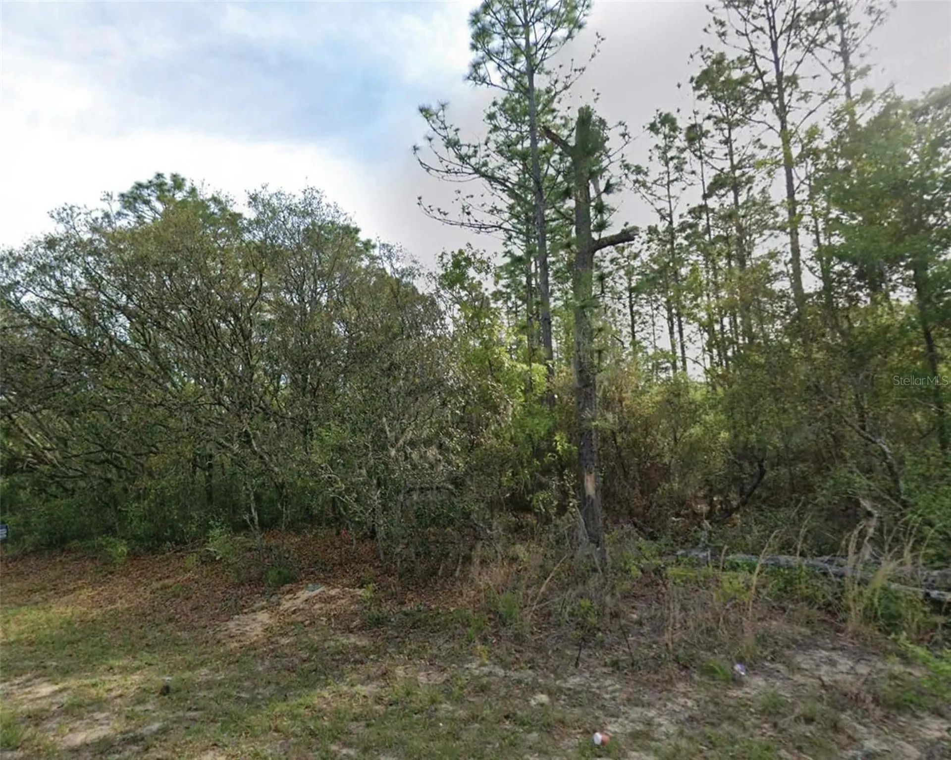 7745 N Maltese Drive Citrus Springs FL 34433