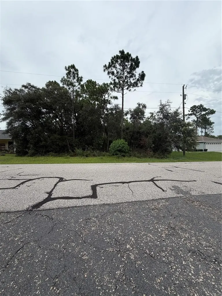 3289 W Viking Lane Citrus Springs FL 34433