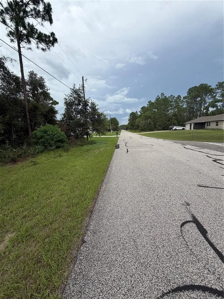 3289 W Viking Lane Citrus Springs FL 34433