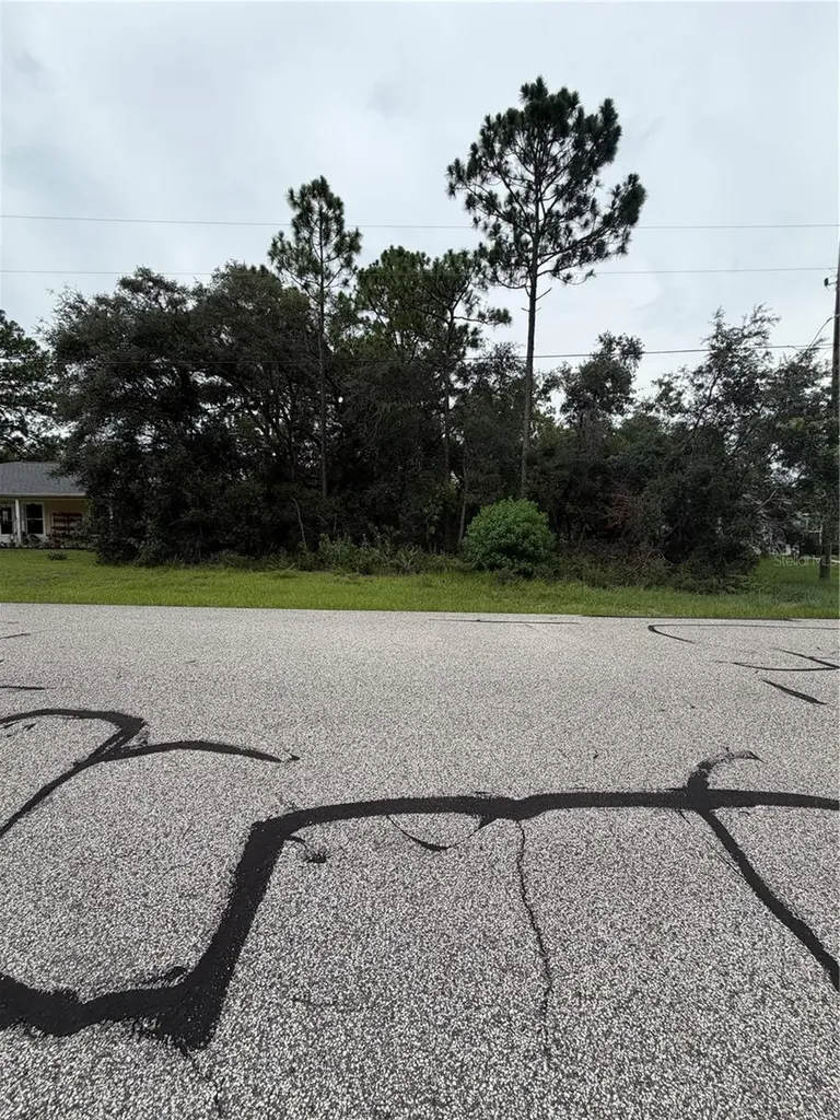3289 W Viking Lane Citrus Springs FL 34433