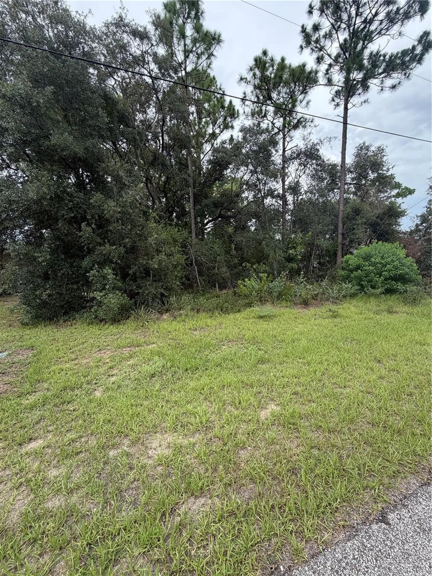 3289 W Viking Lane Citrus Springs FL 34433