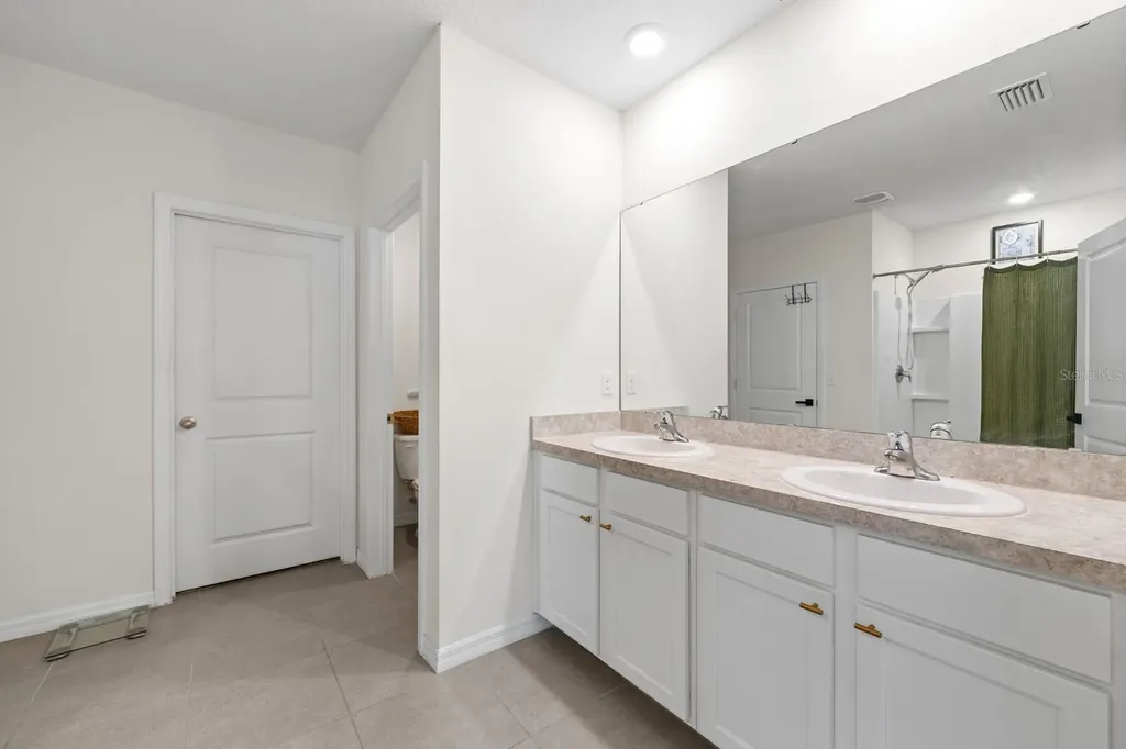 10828 Trailing Vine Drive Tampa FL 33610