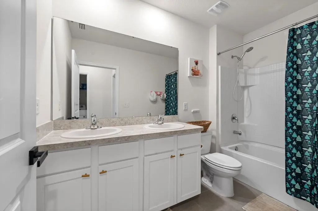 10828 Trailing Vine Drive Tampa FL 33610