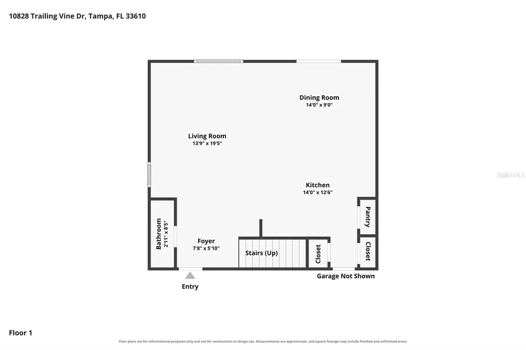 10828 Trailing Vine Drive Tampa FL 33610