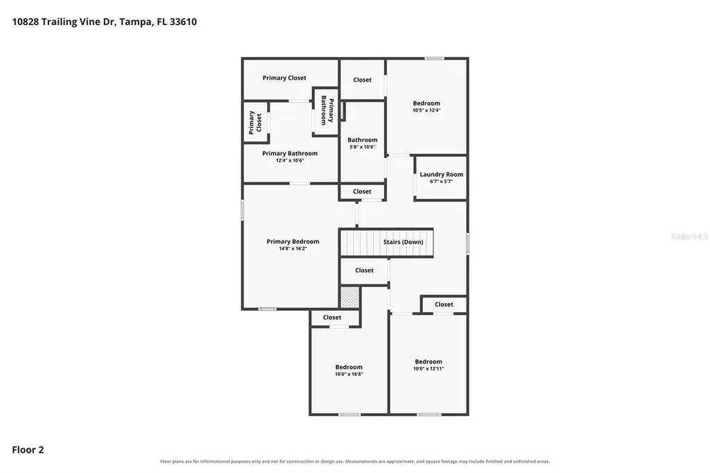 10828 Trailing Vine Drive Tampa FL 33610