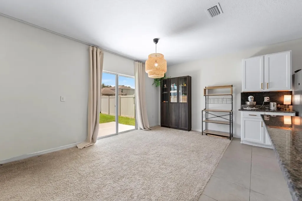 10828 Trailing Vine Drive Tampa FL 33610
