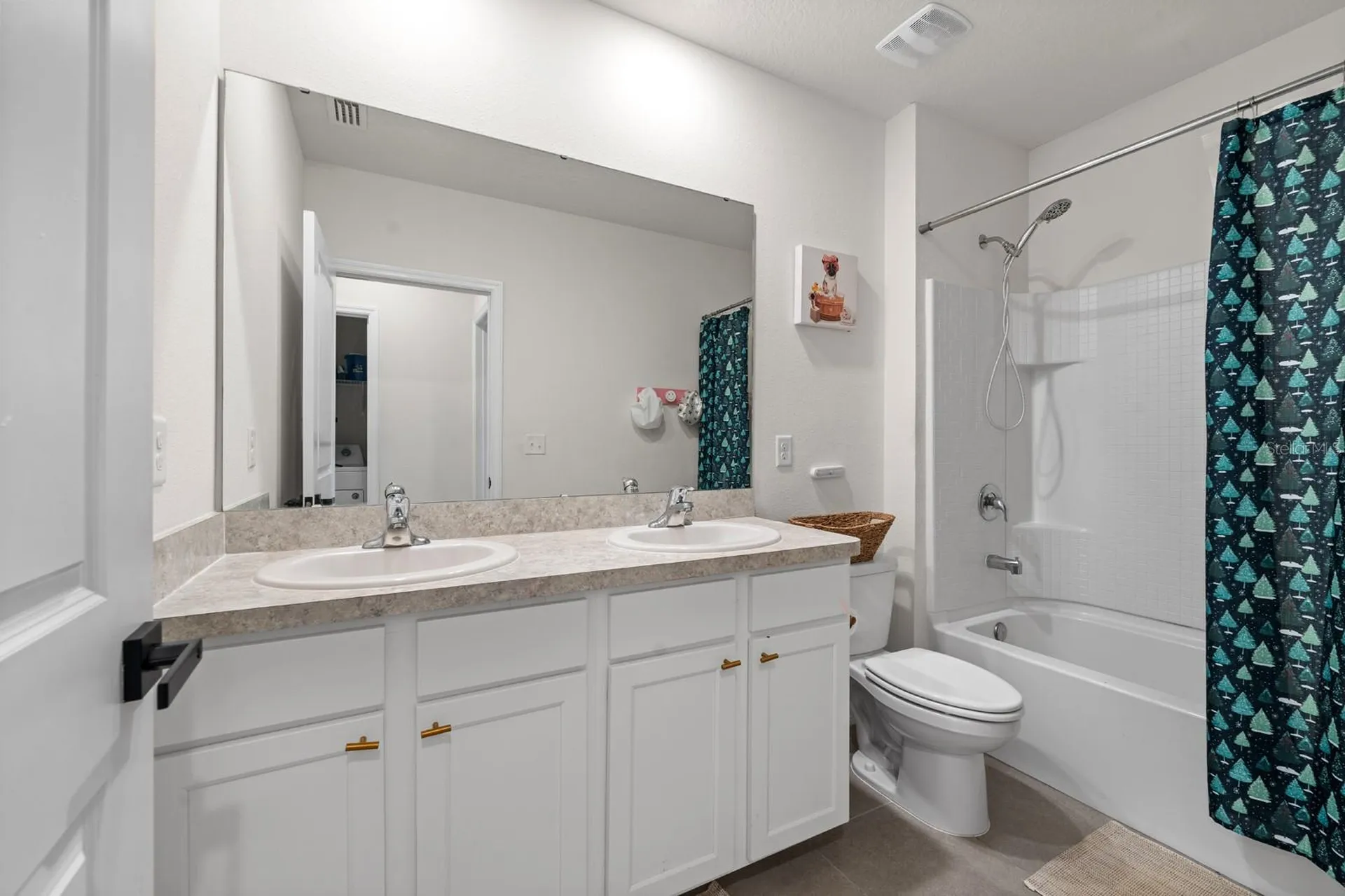 10828 Trailing Vine Drive Tampa FL 33610