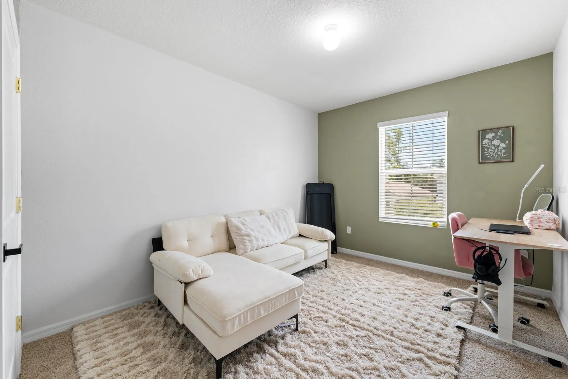 10828 Trailing Vine Drive Tampa FL 33610