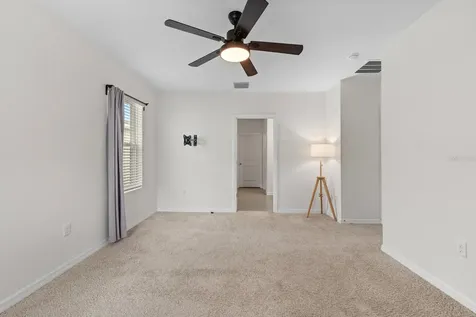 10828 Trailing Vine Drive Tampa FL 33610