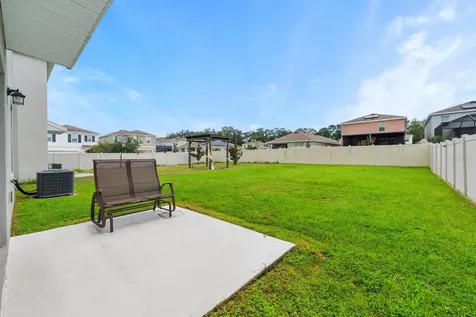 10828 Trailing Vine Drive Tampa FL 33610