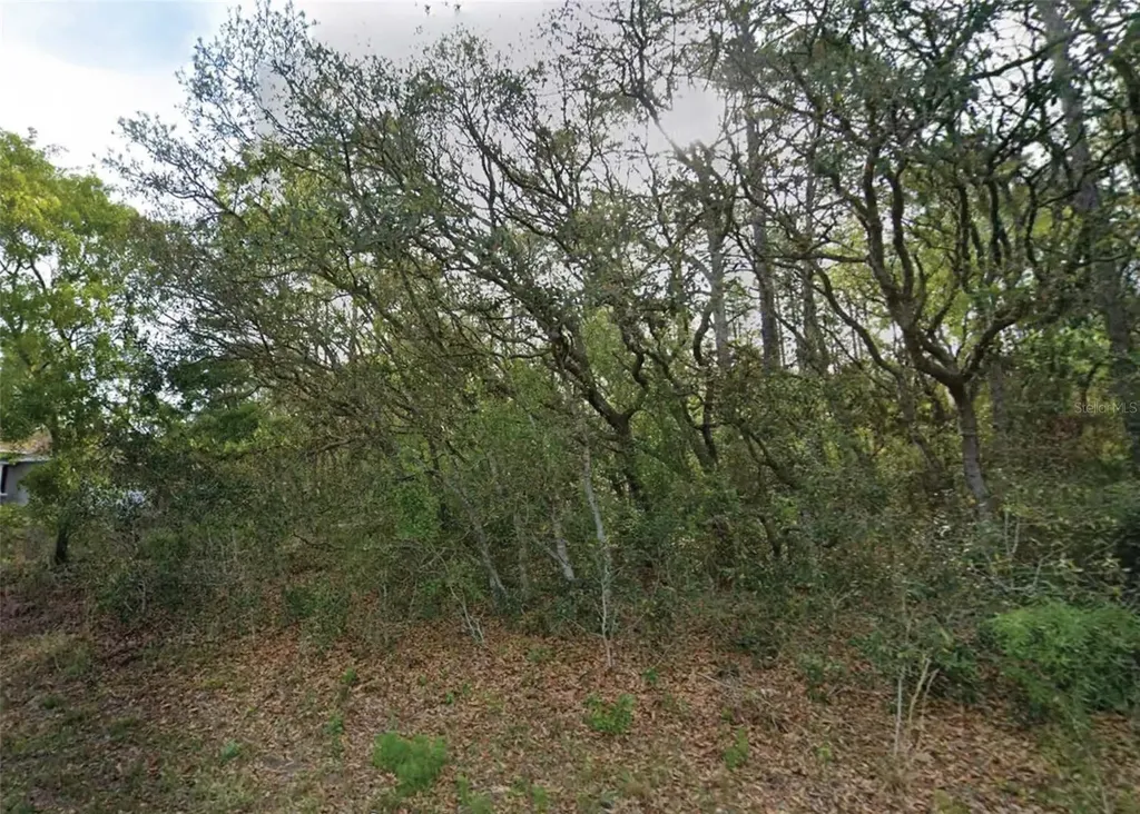7759 N Maltese Drive Citrus Springs FL 34433