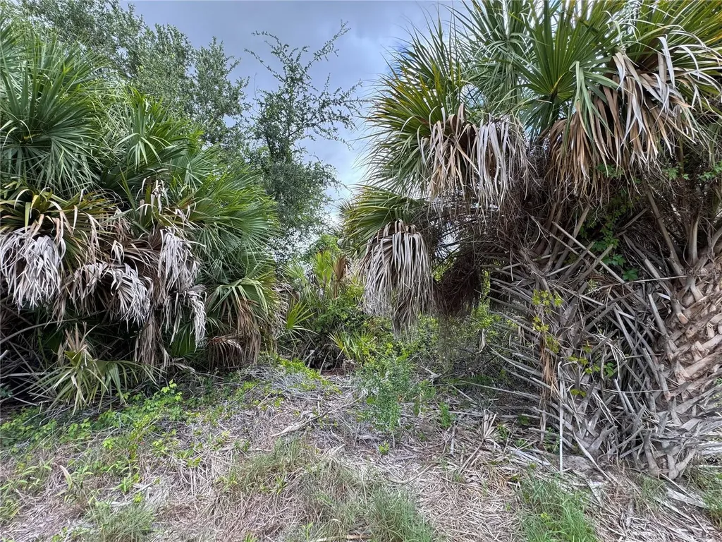13224 Kitchener Avenue Port Charlotte FL 33981