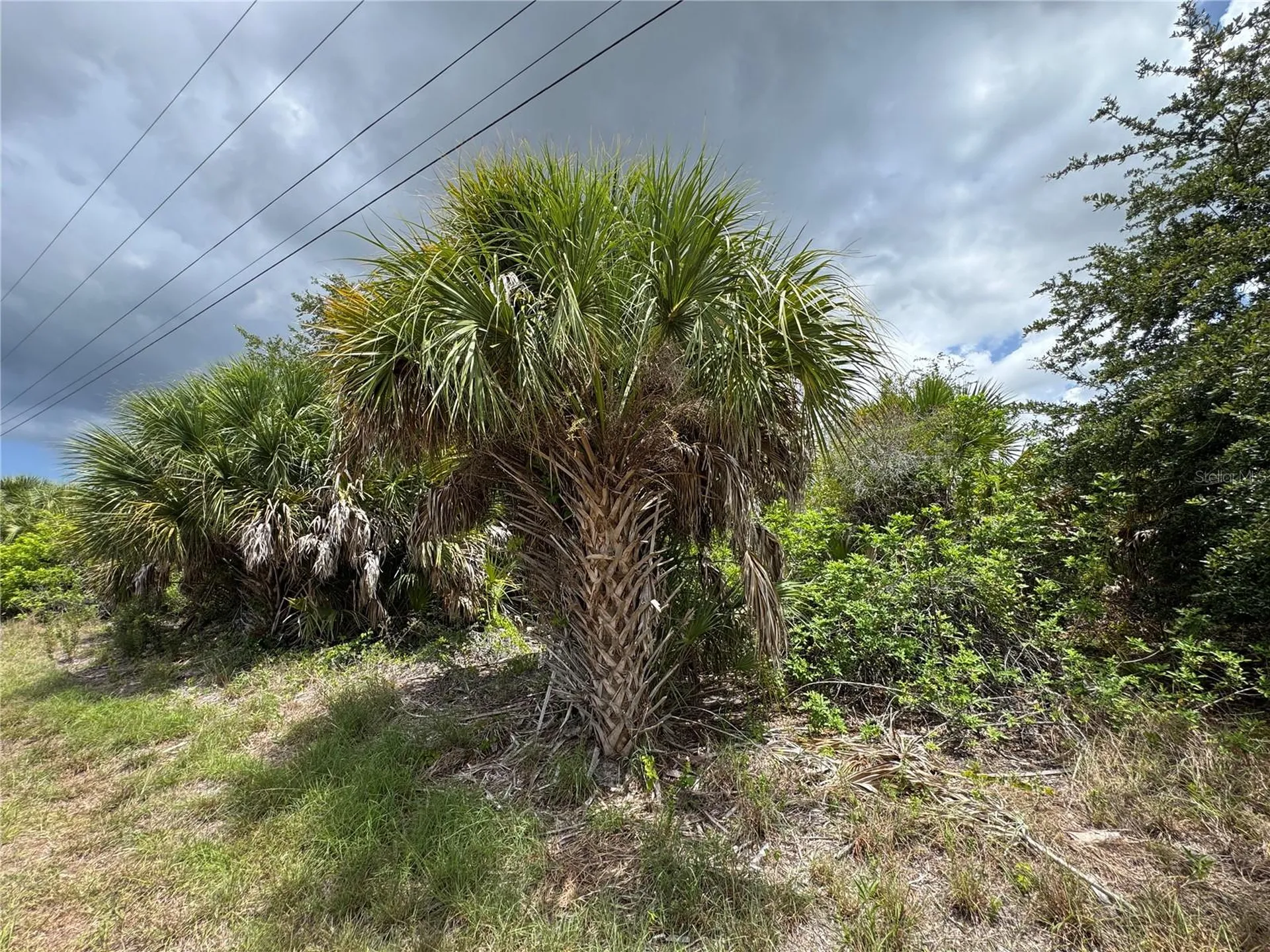 13224 Kitchener Avenue Port Charlotte FL 33981
