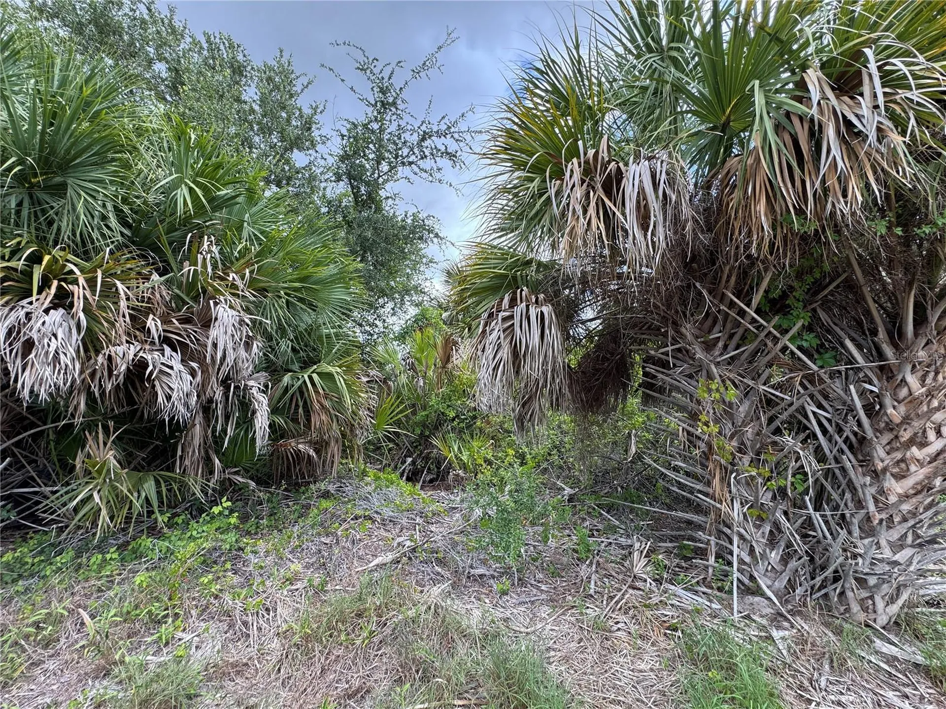 13224 Kitchener Avenue Port Charlotte FL 33981
